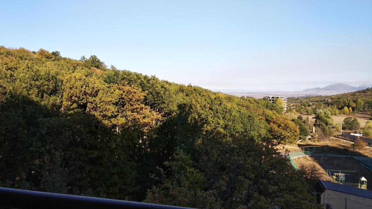 Hillside Apartment ซากาดซอร์ ภายนอก รูปภาพ